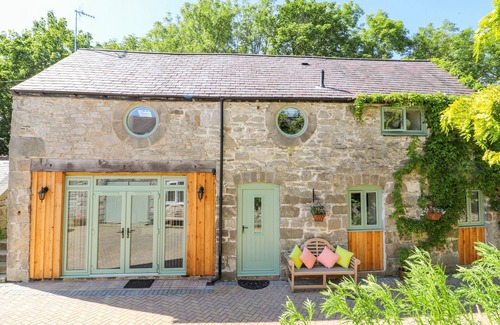 Mold Cabaña | The Old Coach House, LLANARMON-YN-IAL