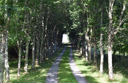 Helston Casa | The Old Wood Store