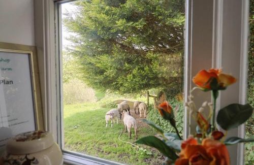Knowstone Casa | The Old Workshop
