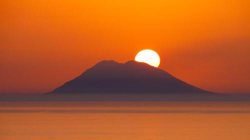 Ricadi Apartamento | The Olive Tree - Seaview Apartments
