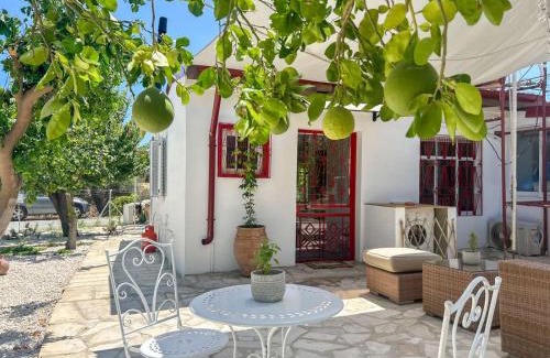 Kalavasos Apartamento | The OliveOrange Grove House!