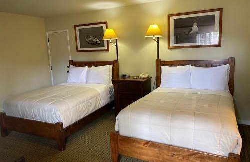 Pacific Grove Cabina | The Olympia Lodge