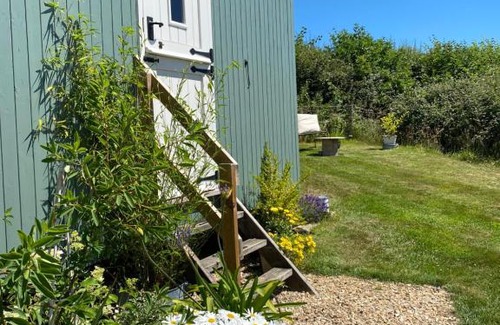 Axminster Otro | The Orchard Shepherds Hut