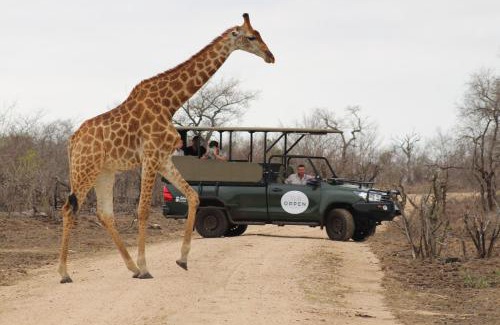 Thorny Bush Game Reserve Cabina | The Orpen Kruger