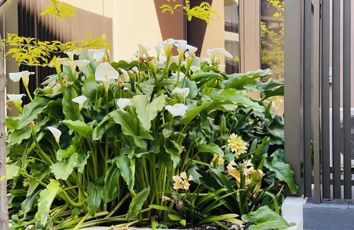Caulfield North Apartamento | The Oscar home ! Try me !