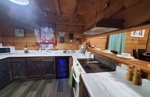 Kodak Cabina | The Outdoor Oasis –You Get $1089 Attraction Tickets per paid day, Dollywood Inc