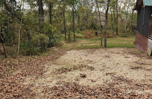 Dogwood Cabina | The Owl's Nest