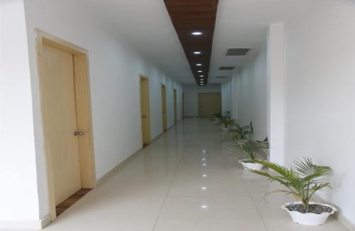 Amritsar Cama Y Desayuno | The Palm Tree -Family Stay