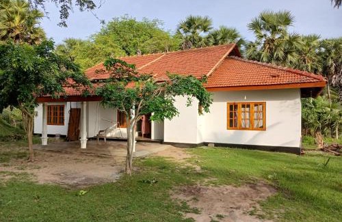 Mannar Casa | The Palmyrah garden and Resort