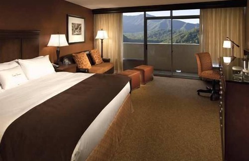 Gatlinburg Hotel | The Park Vista - a DoubleTree by Hilton Hotel - Gatlinburg