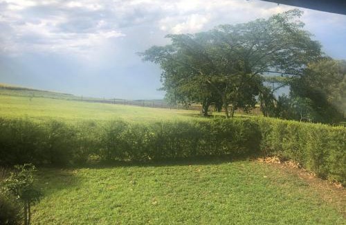 Mid Illovo Casa | The Pastures