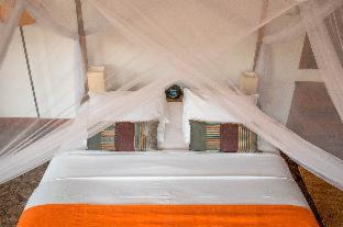Daun Penh Hotel | The Pavilion