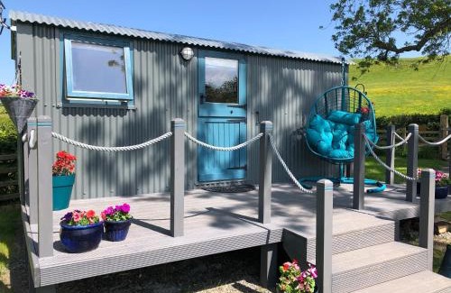 Corwen Casa | The Peacock Shepherds Hut at Hafoty Boeth