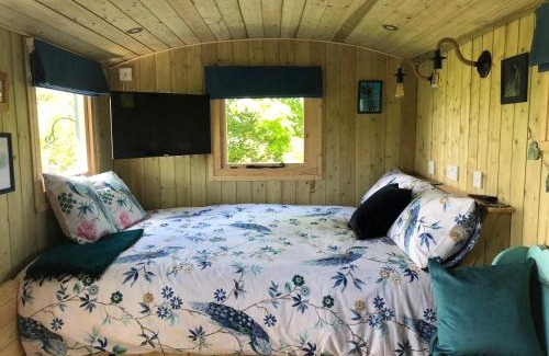 Corwen Casa | The Peacock Shepherds Hut at Hafoty Boeth