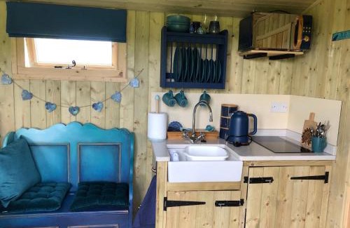 Corwen Casa | The Peacock Shepherds Hut at Hafoty Boeth