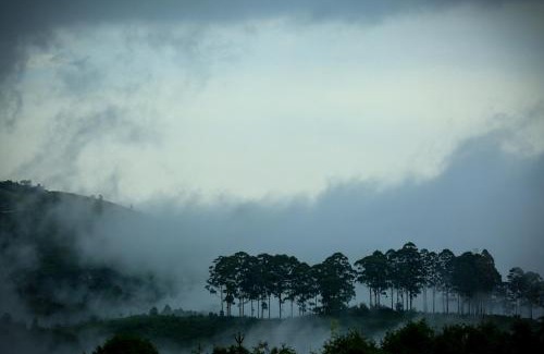 Kodaikanal Casa | The Pear County