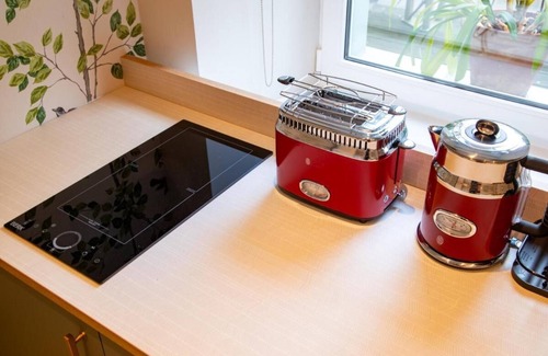 Avoti Apartamento | The Pearl Riga Apartment With Garden View