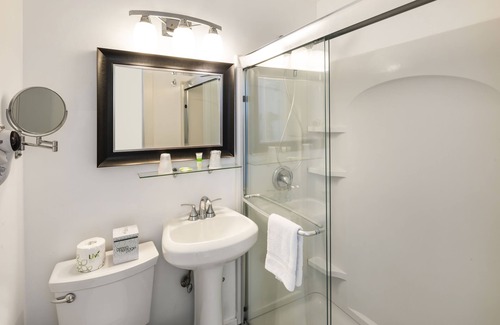 South Beach Hotel | The Penguin Hotel