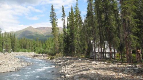 McKinley Park Cabina | The Perch Resort