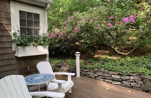 Essex Cabaña | The perfect New England getaway only a 10 minute walk to downtown!