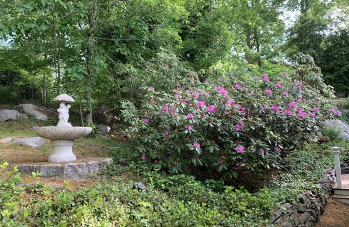 Essex Cabaña | The perfect New England getaway only a 10 minute walk to downtown!