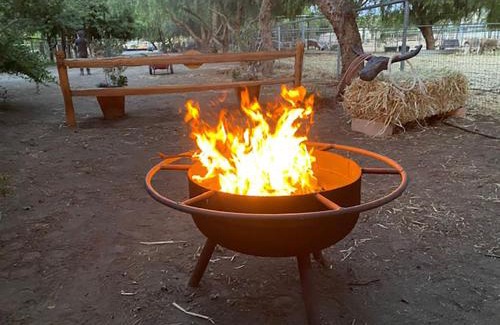 Temecula Casa | The Pony Experience; Glamping with Private Petting Zoo