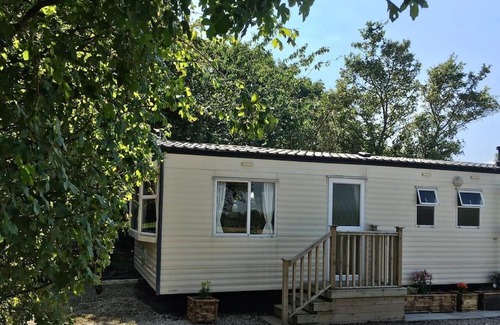 Ormskirk Otro | The Pony Pad