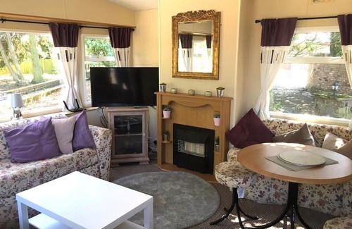 Ormskirk Otro | The Pony Pad