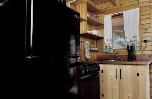 Lake City Cabina | The Primrose Cabin with Mountain Views