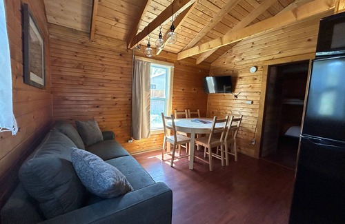 Lake City Cabina | The Primrose Cabin with Mountain Views