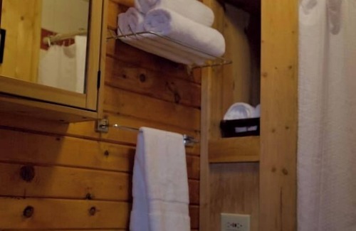 Lake City Cabina | The Primrose Cabin with Mountain Views