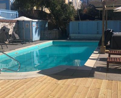 Torquay Hotel | The Purple Tree Guest House