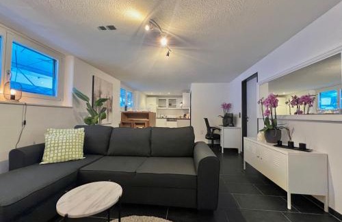 Obergosgen Apartamento | The R Apartment Froburg, Parking, Netflix, Golfplatz