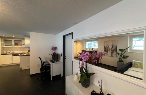 Obergosgen Apartamento | The R Apartment Froburg, Parking, Netflix, Golfplatz