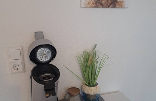 Schluchsee Apartamento | "The Raccoon Cave" - Apt. with balcony & pool