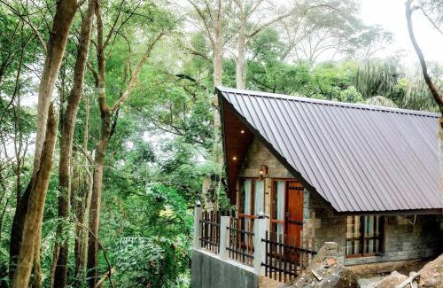 Pitabeddara Hotel | The Rain Forest
