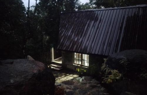 Pitabeddara Hotel | The Rain Forest