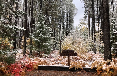 Columbia Falls Cabina | The Reclusive Moose Cabins
