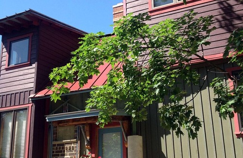 North Downtown Casa | La Casa Reciclado - Walk Downtown