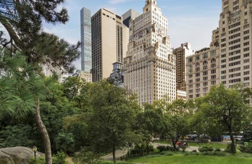 Central Park South Hotel | The Ritz-Carlton New York, Central Park