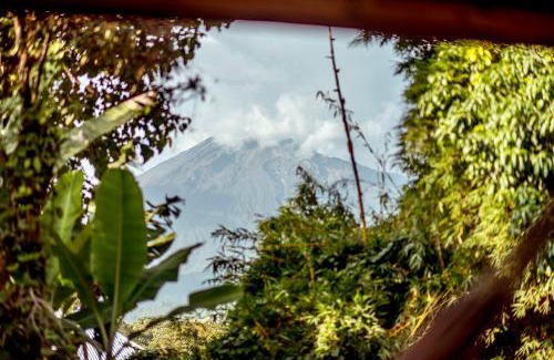 Arusha Villa | The River Villa Situated In A Lush Garden