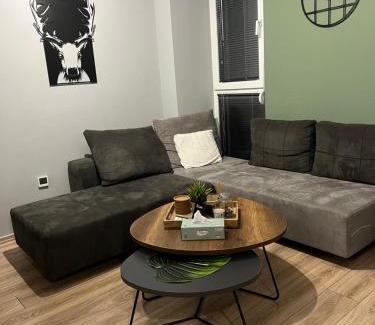 North Macedonia Apartamento | The Royal Pine Apartment Mavrovo