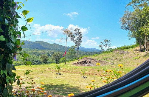 Negroman Casa | THE RUINS-NEW Charming 1-BR house-Onsite Untouched Mayan Ruin-Organic Garden