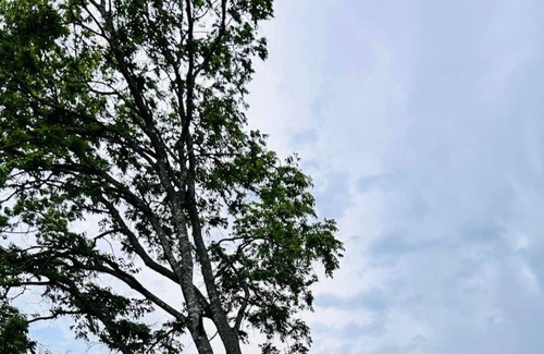 Piedmont Cabina | The Rustic Roots Retreat