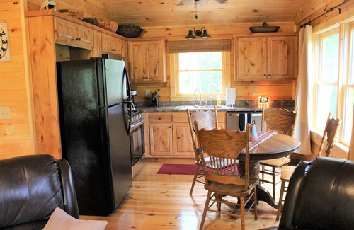 Hidden Lake Cabina | The Rusty Goat--Year-round Mountain View, King-sized bed, highspeed internet!