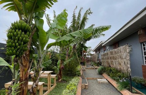 Arusha Cama Y Desayuno | THE SAFARI HUB