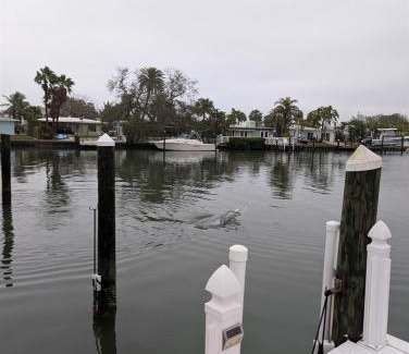 Indian Rocks Beach Casa | The Salty Cove IRB
