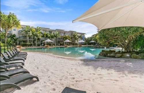 Kingscliff Apartamento | The Sand Resort Kingscliff - One Bed Plunge Pool (8122) - Holiday Management Co.