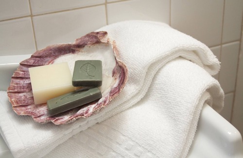 Madison Center Cama Y Desayuno | The Scranton Seahorse Inn