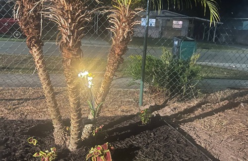 Southwest Orlando Casa | The Secret Garden Games Getaway 4 bedroom home
